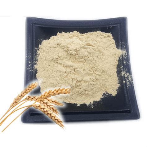 富硒麦芽粉 供应 100ppm 麦芽硒 品牌：天瑞生物西安天瑞生物-盖德化工网