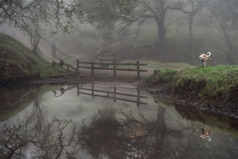 PHOTOS: Immersed in nature at Walnut Creek's Shell Ridge Open Space
