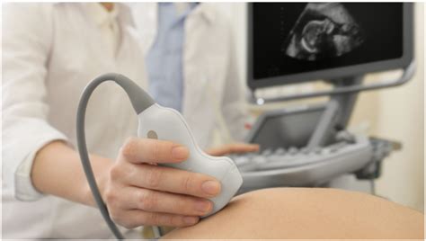 Down Syndrome Screening by Fetal Care Expert