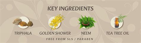 Buy Krti Herbals Hair Shampoo with Triphala and Golden Shower | 200 ml ...