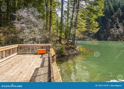Clackamas River and Marina Rural Oregon Stock Photo - Image of natural ...