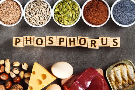 Phosphorus Foods High