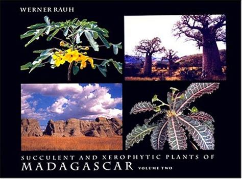 Buy Succulent and Xerophytic Plants of Madagascar: Vol 2 Book Online at ...