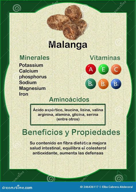 Malanga Colocasia Esculenta Infographic Label Nutritional Values And ...