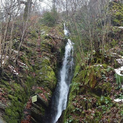 CASCADE DE REINHARDSTEIN (2026) All You Need to Know BEFORE You Go ...
