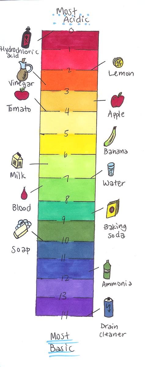 Image result for pH Level Basic Overview