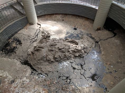 La Brea Tar Pits and Museum Admission Ticket in Los Angeles 2021 - Viator