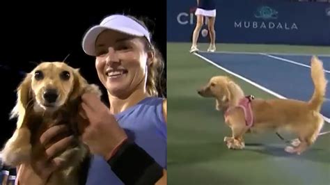 Anna Kalinskaya's Dog Steals Spotlight After Her Quarterfinal Win In ...