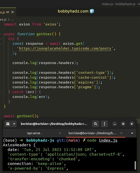 Axios Header 的图像结果