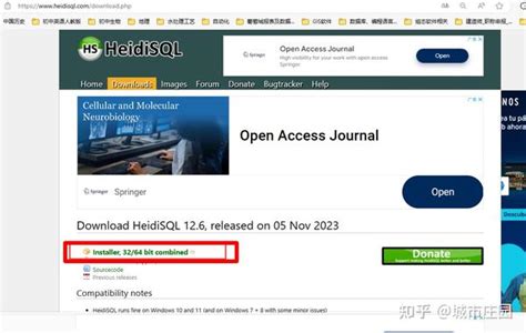 HeidiSQL MySQL 的图像结果