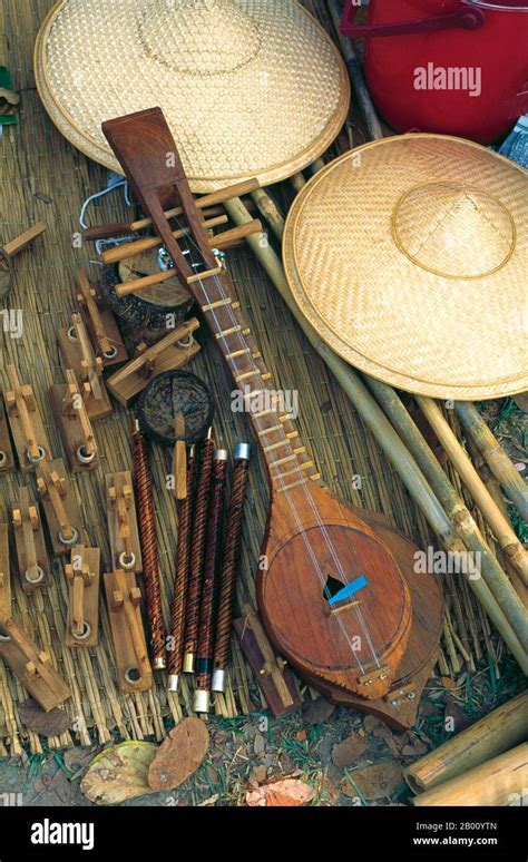 String Instrument 的图像结果