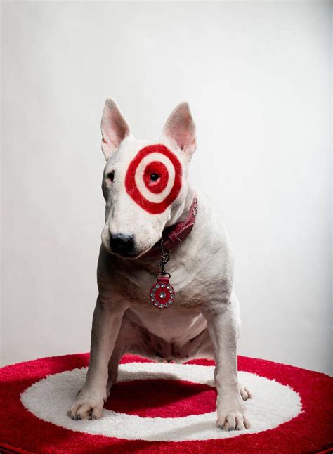 Bullseye is the perfect symbol for Target Corp. itself: projecting a ...