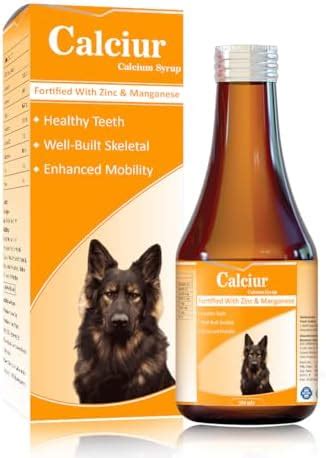Buy Pooch Harbor Calciur Calcium Syrup for Adult Dogs & Young Puppies ...