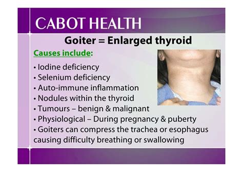 Image result for Thyroid Function Algorithm