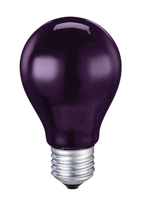 NOMA Incandescent Light Bulb, Black, 11-cm, Indoor/Outdoor Decoration ...