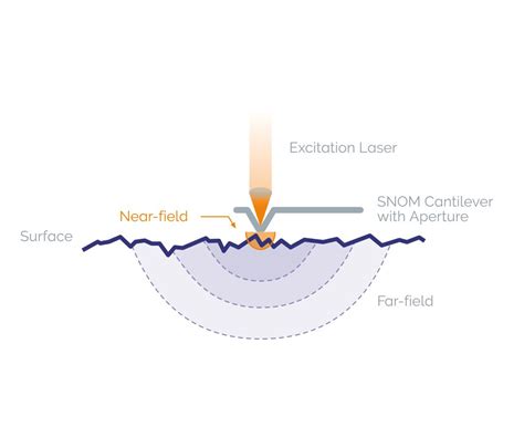 Snom Spectroscopy 的图像结果