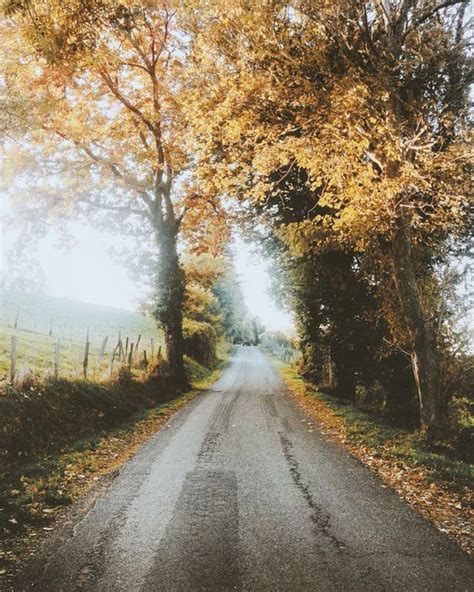 Fall in the Country 的图像结果