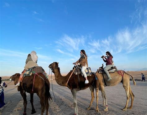 Morocco Riads and Beyond (Marrakech) - All You Need to Know BEFORE You Go