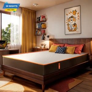 Repose Mattress - Buy Repose Mattress online at Best Prices in India ...