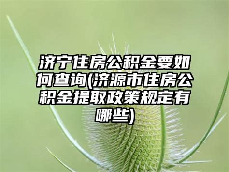截至8月31日，济宁住房公积金缴存余额375.41亿元_官网_尹荣耀_全市