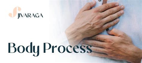 Process Body 的图像结果