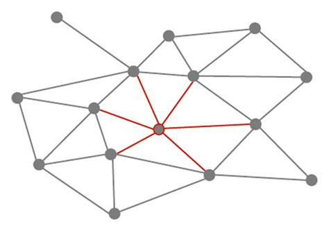 Complex Network Models 的图像结果