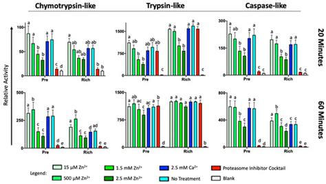 Sperm Cohort-Specific Zinc Signature Acquisition and Capacitation ...