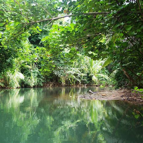 INDIAN RIVER (2025) All You Need to Know BEFORE You Go (with Photos ...