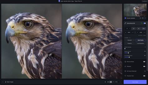 Topaz AI Tutorial 的图像结果