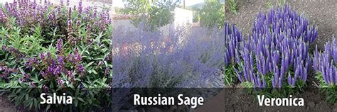 Image result for Code Analysis Table