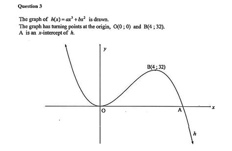 Image result for Calculus Types