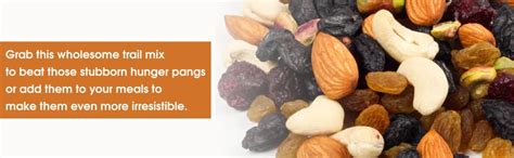 Nutriplato Dry Fruits Mix - Raisins Nuts Cranberry with Salted ...