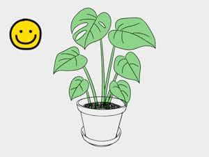 GARDENBASICS Plant Growth Plantonic Tablets | Plant Growth Enhancer ...