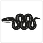 Image result for Mamba Python Installation