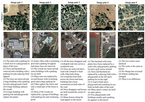 Image result for Dataset Example