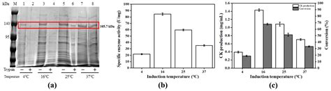 The Synthesis of Ginsenoside Compound K Using a Surface-Displayed β ...