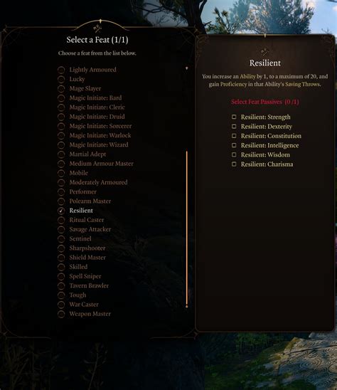 Best Druid Feats in Baldur's Gate 3 (BG3)