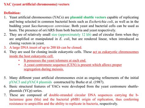 Lecture BAC YAC.pptx