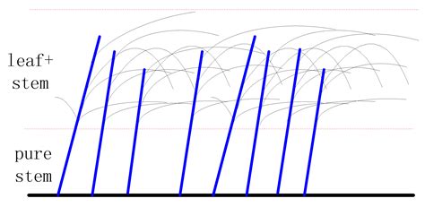Simulating Microwave Scattering for Wetland Vegetation in Poyang Lake ...