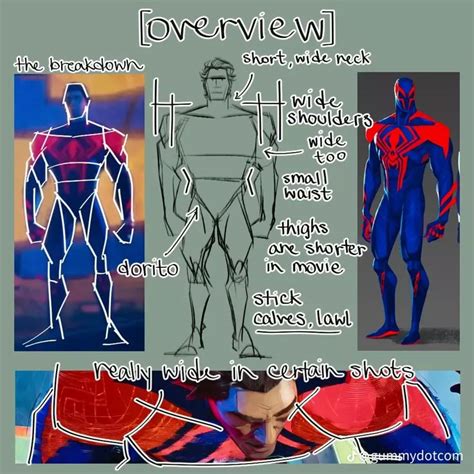 Pin by Stoutastic on Anatomy Art and References | Spiderman art ...