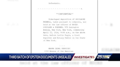 6 Takeaways From the First Batch of the Epstein Files Vector Art
