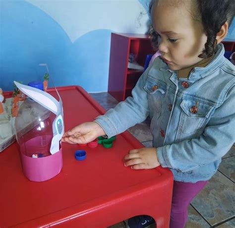 Image result for Shell Structure Kids