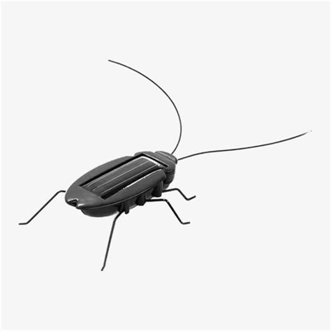 Solar-Powered Vibrating Black Cockroach Bug – QuartzComponents