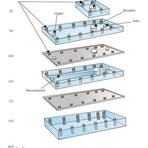 Image result for Microchip Expanded