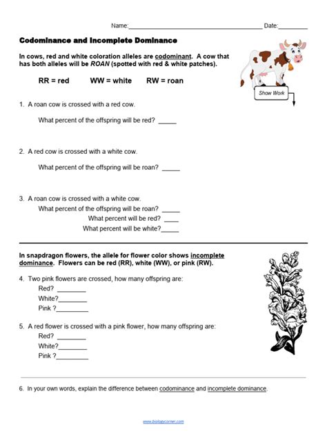 Codominance Practice Problems 的图像结果