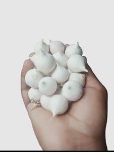 ramraj Fresh Single Clove Garlic One Grade-A Kuli Lehsun Ek Puti Lahsun ...