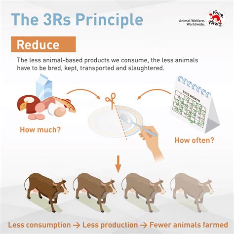 Animal Welfare & Nutrition - FOUR PAWS International - Animal Welfare ...