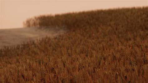 Agriculture Animation 的图像结果