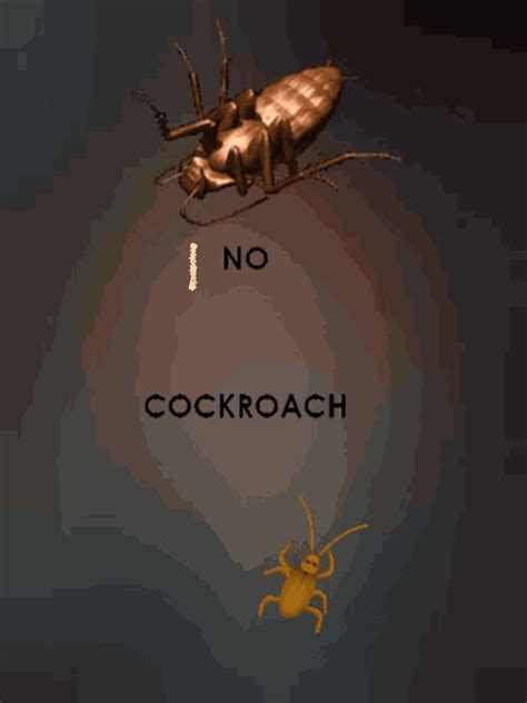 Cockroach Meme GIF 的图像结果