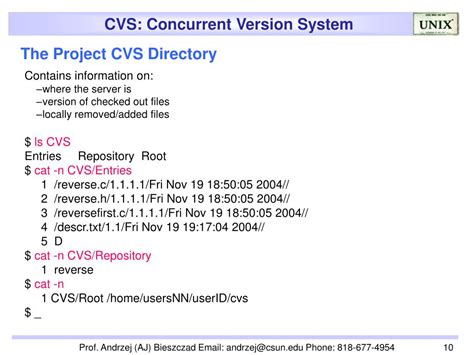 Image result for Concurrent Version System